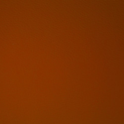 Base Femme escarpin cuir découpée