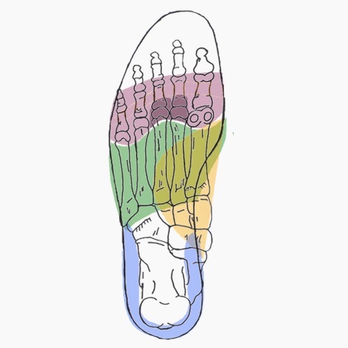 Semelles orthopédiques sur mesure pour avant pied rond