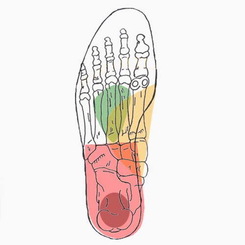 Semelles orthopédiques sur mesure pour épine calcanéenne