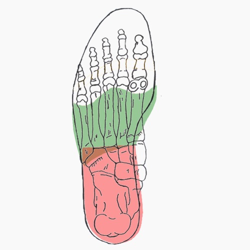 Semelles orthopédiques sur mesure pour génu flexum