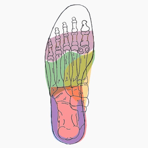 Semelles orthopédiques sur mesure mal perforant plantaire